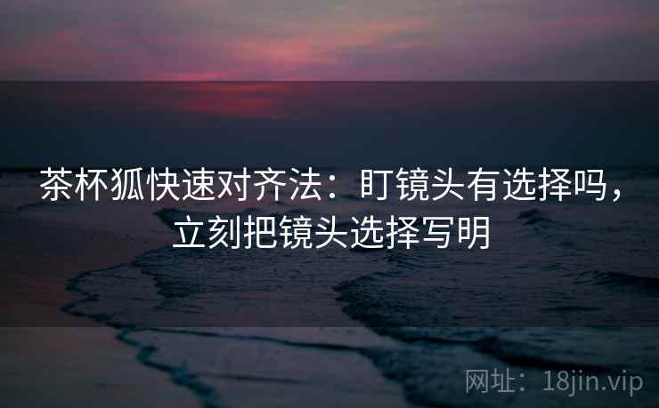 茶杯狐快速对齐法:盯镜头有选择吗,立刻把镜头选择写明 第2张 茶杯狐快速对齐法:盯镜头有选择吗,立刻把镜头选择写明 第2张